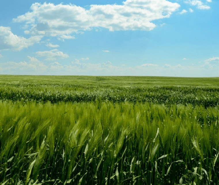 農(nóng)業(yè)展廳設(shè)計方案-農(nóng)業(yè)展廳-農(nóng)業(yè)展廳設(shè)計-農(nóng)業(yè)展廳設(shè)備-農(nóng)業(yè)展廳建設(shè)-七全七美智能科技 農(nóng)業(yè)展廳設(shè)計方案-農(nóng)業(yè)展廳-農(nóng)業(yè)展廳設(shè)計-農(nóng)業(yè)展廳設(shè)備-農(nóng)業(yè)展廳建設(shè)-七全七美智能科技